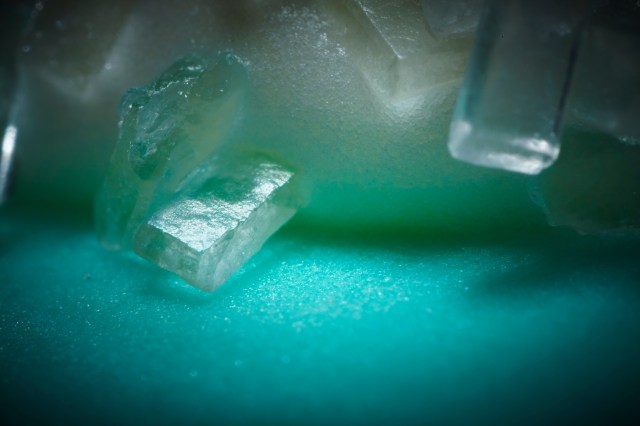 Cyndi Long's Detail of Sugar on Bunny Sugar Cookie's Tail