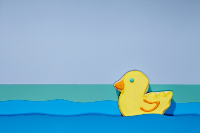 Still from Cyndi Long's sugar cookie duckie animation