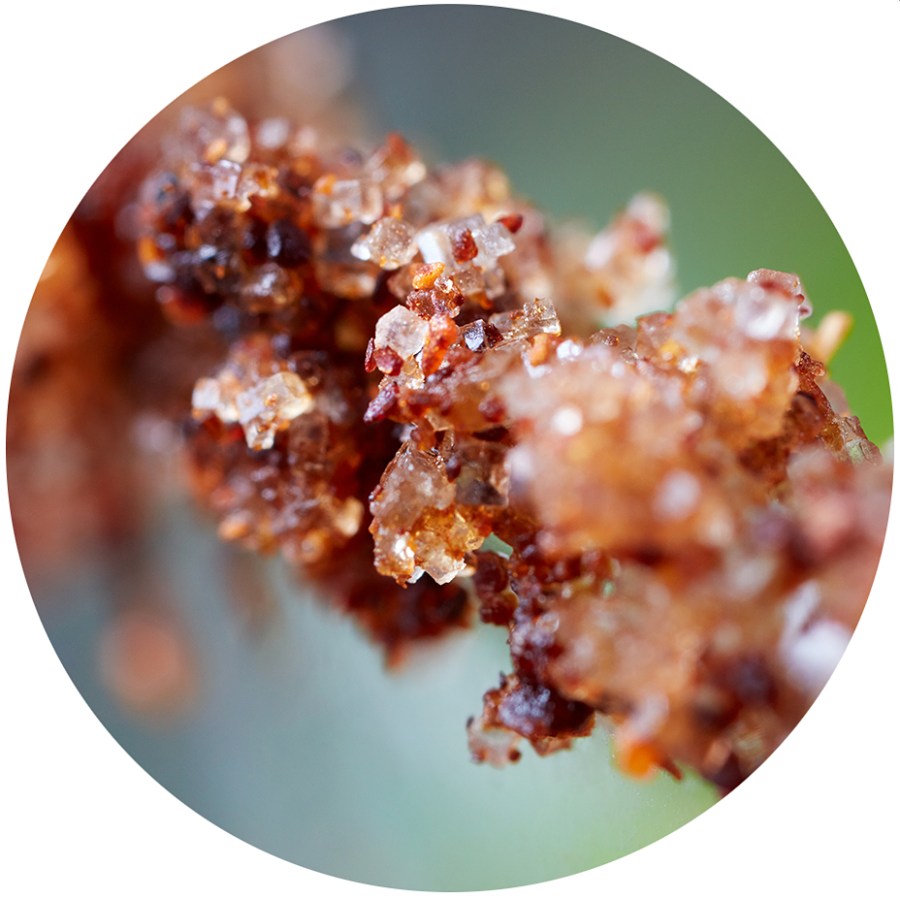 detail of a pineapple jalapeño craft cocktail detail of a blackberry mule craft cocktail ©Cyndi Long (clstudios.com)